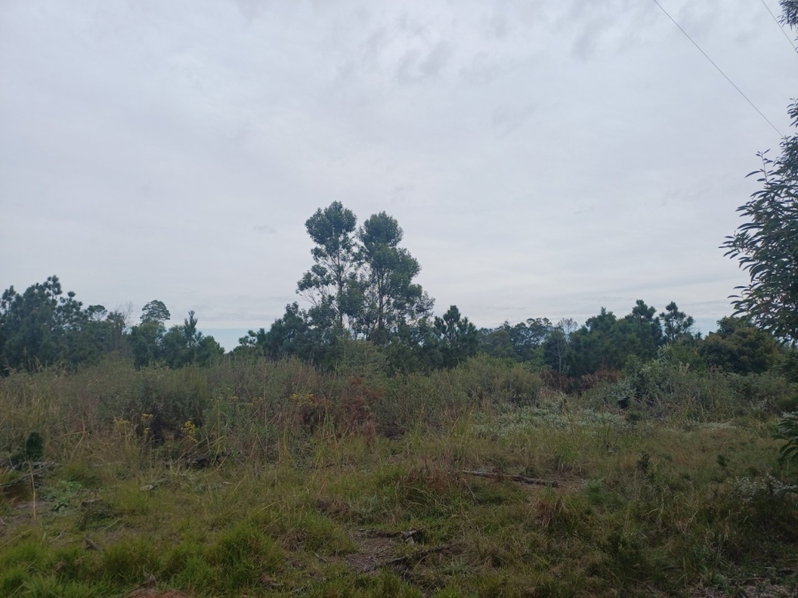Commercial Property for Sale in Hoekwil Western Cape